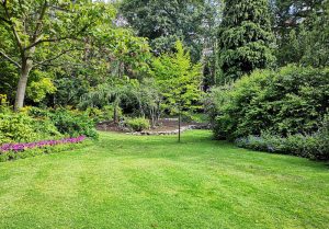 Optimiser l'expérience du jardin à Pallegney